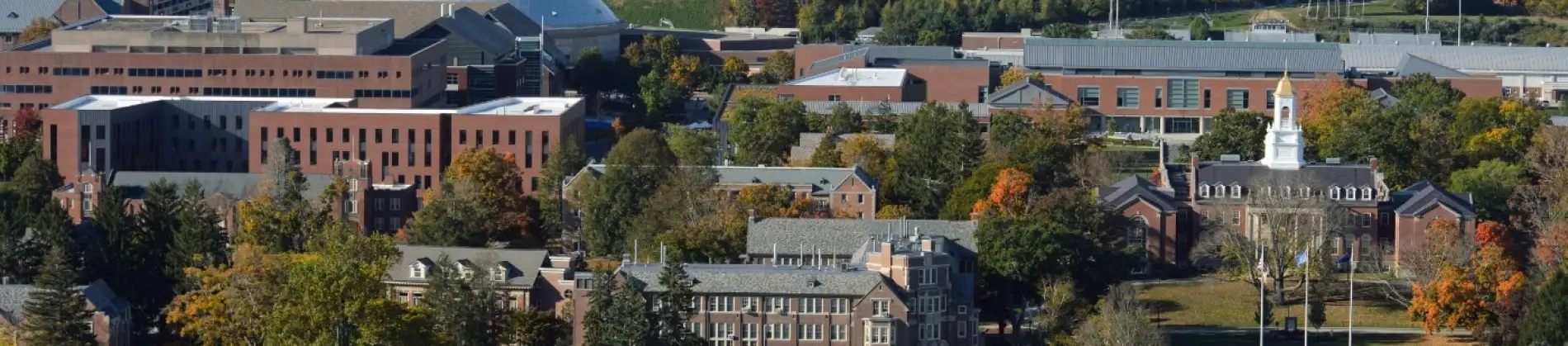 Arabic and Islamic Civilizations